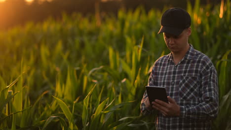 Farmer-man-with-tablet-in-field.-Pretty-young-woman-holding-tablet-in-field-at-sunset